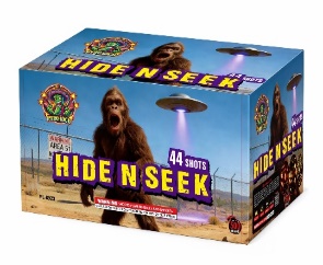 HIDE N SEEK